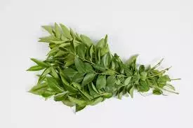 Curry Leaves