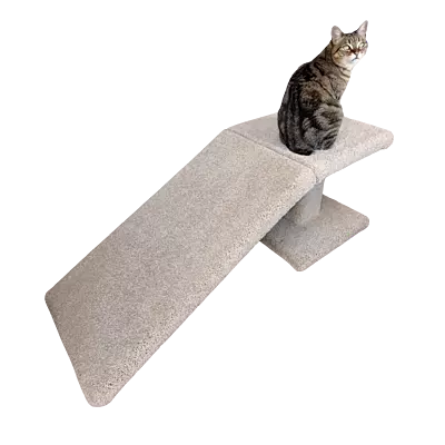 Scottish Fold - Ramp