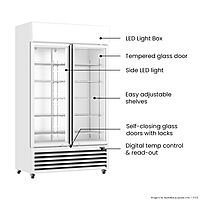 Thermaster Large Two Glass Door Colourbond Upright Drink Fridge LG-1200P