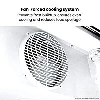 Thermaster Large Two Glass Door Colourbond Upright Drink Fridge LG-1200P