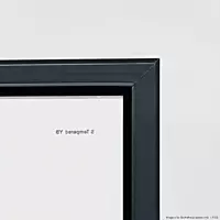 Thermaster Single Glass Door Colourbond Upright Drink Fridge LG-370BP