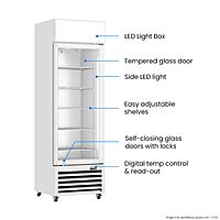 Thermaster Single Glass Door Colourbond Upright Drink Fridge LG-370P