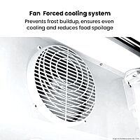 Thermaster Single Glass Door Black Colourbond Upright Drink Fridge - LG-540BP