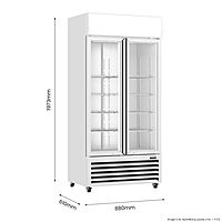 Thermaster Double Glass Door Colourbond Upright Drink Fridge LG-580P