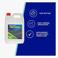 Selleys 5L Point Works Generation ll Accelerant