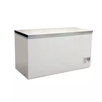 BD598F Chest Freezer With SS Lid-240V; 200W/10A