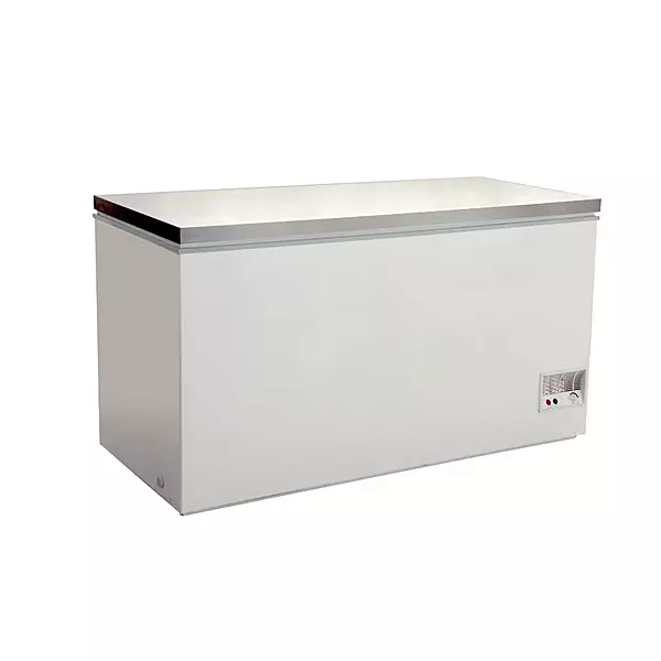 BD598F Chest Freezer With SS Lid-240V; 200W/10A