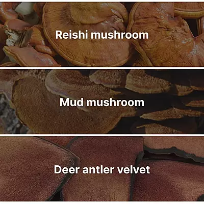 Korean Red Ginseng Extract Capsules – Boost Stamina and Vitality