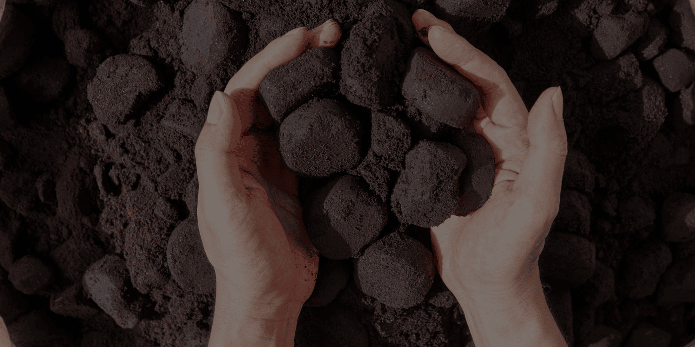 Biodegradable Bags for Soil Health 